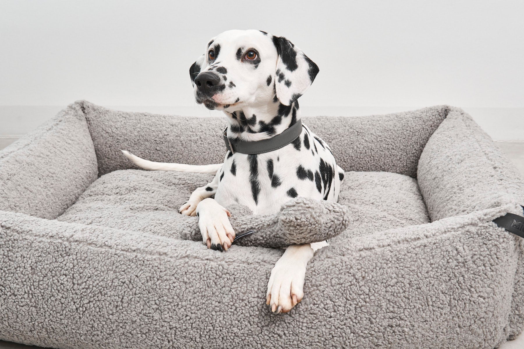 MiaCara Senso Hundebett