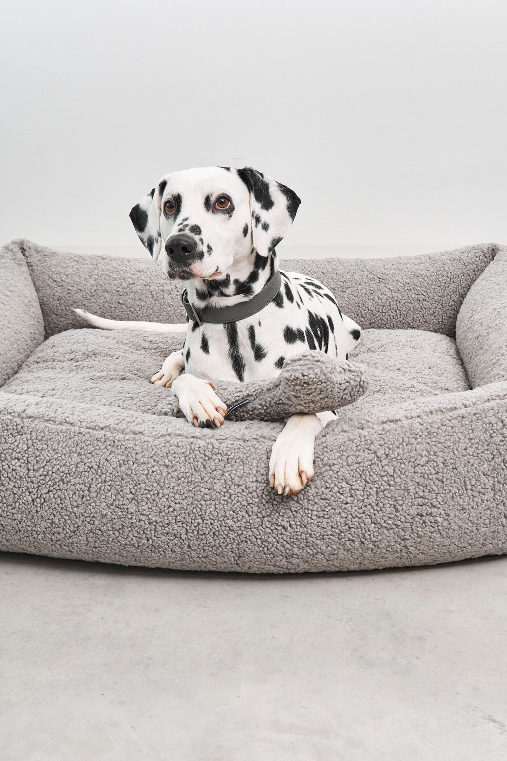 MiaCara Senso Hundebett