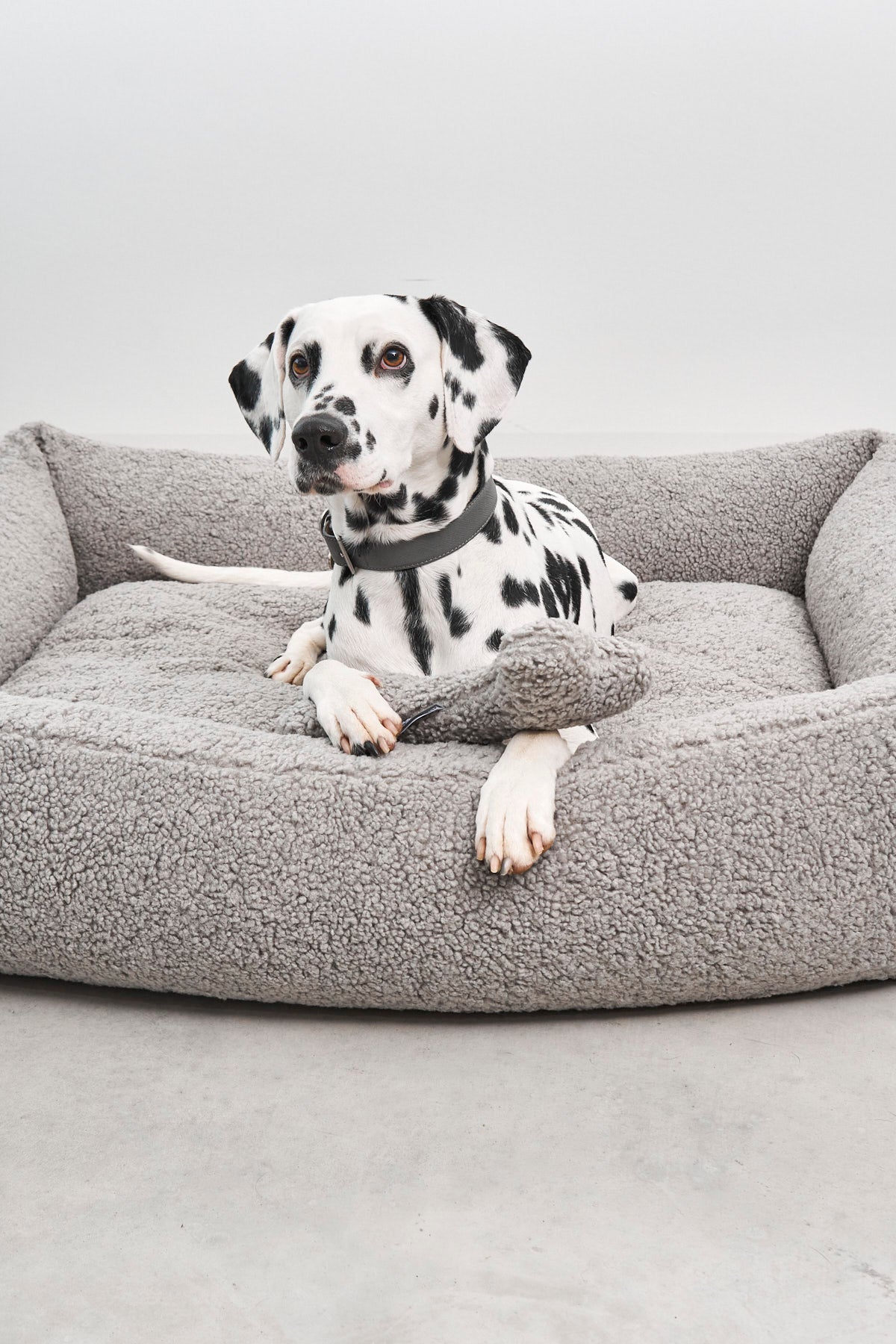 MiaCara Senso Hundebett