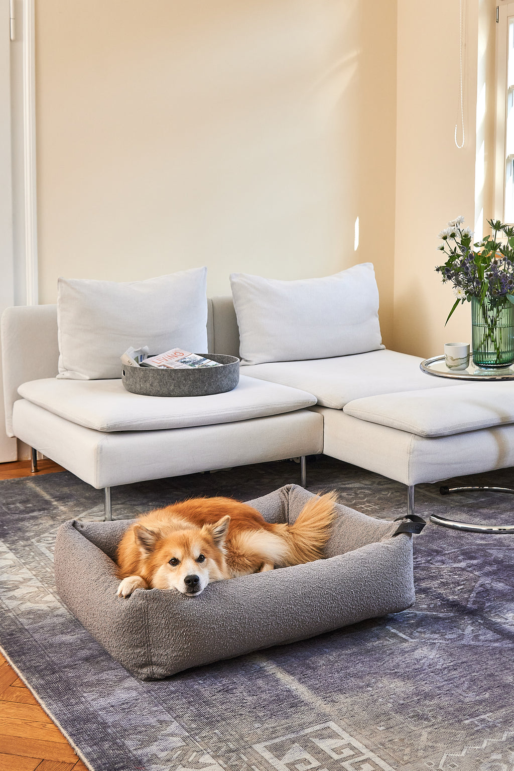 MiaCara Mondo Hundebett