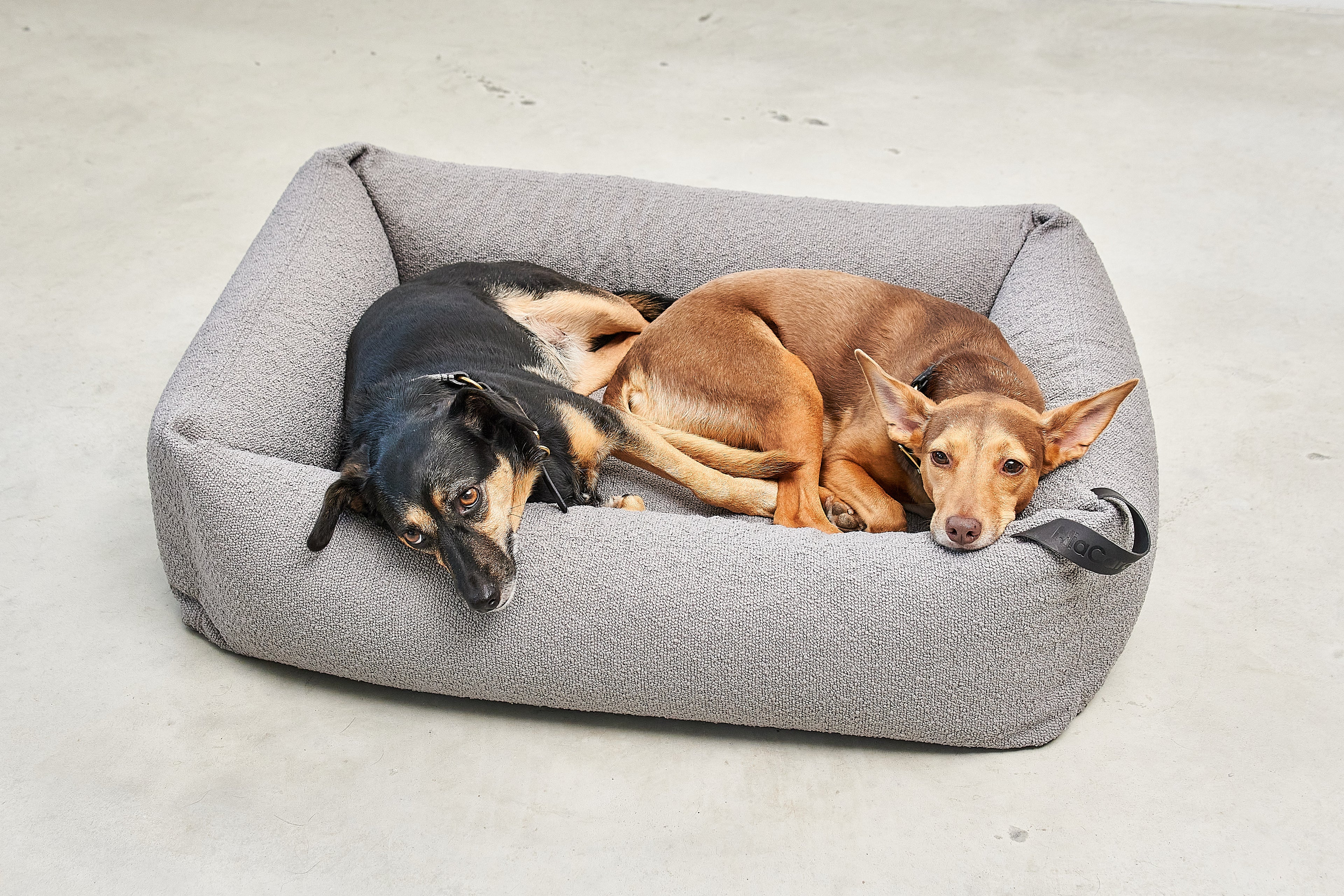 MiaCara Mondo Hundebett