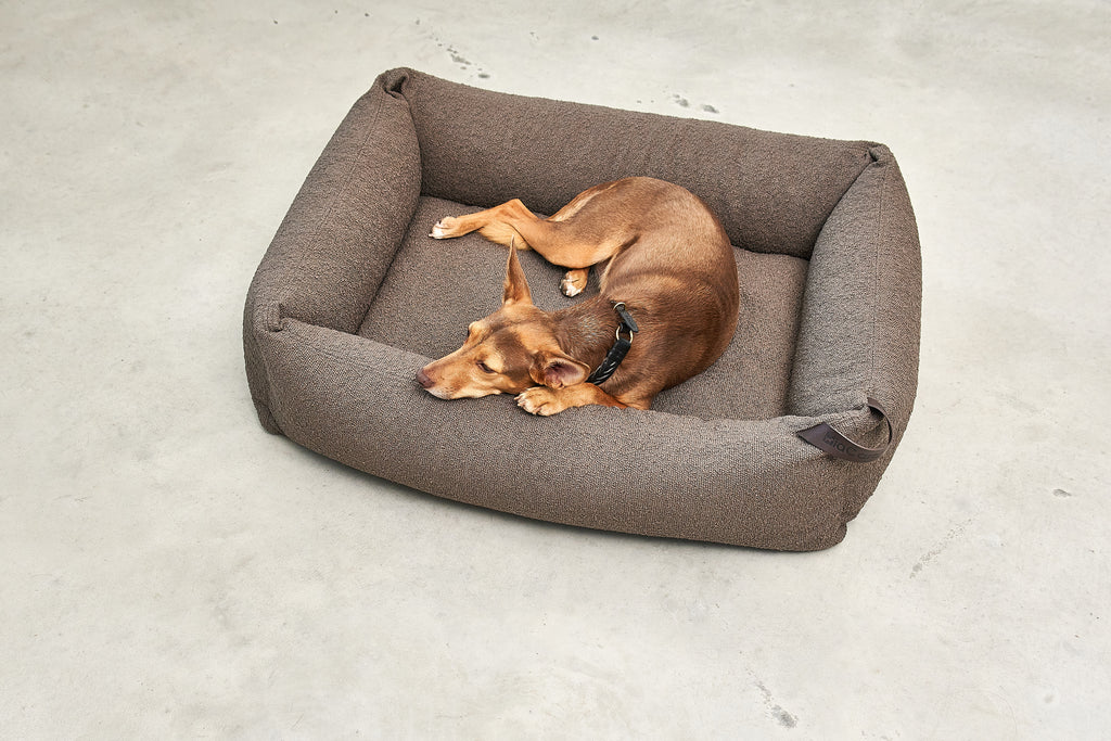 MiaCara Mondo Hundebett