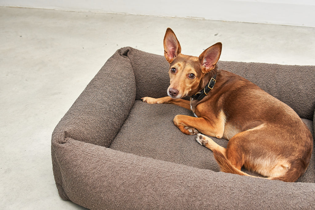 MiaCara Mondo Hundebett