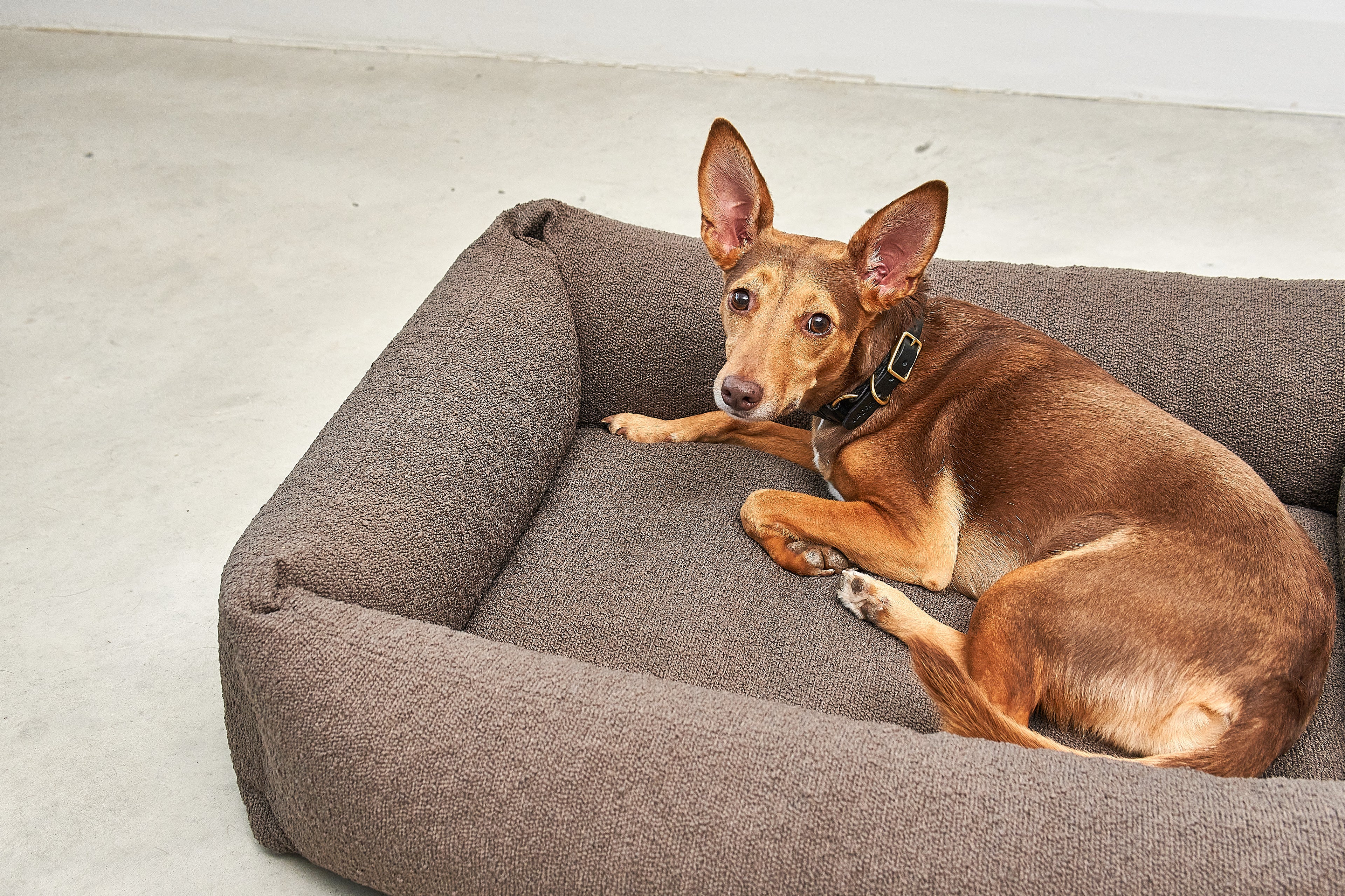 MiaCara Mondo Hundebett