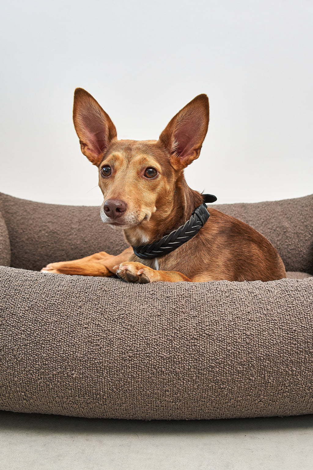 MiaCara Mondo Hundebett