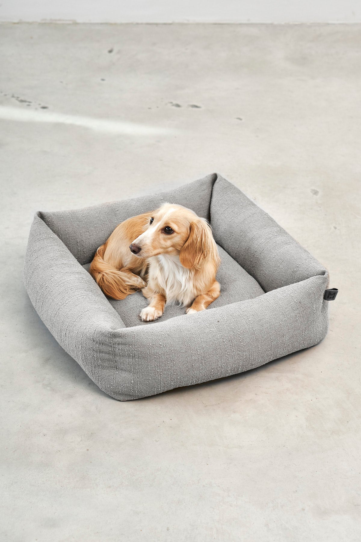 Campo Piccolo Hundebett