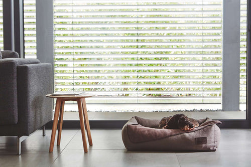 MiaCara Unica couverture pour chien