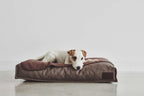 Unica Dog Blanket