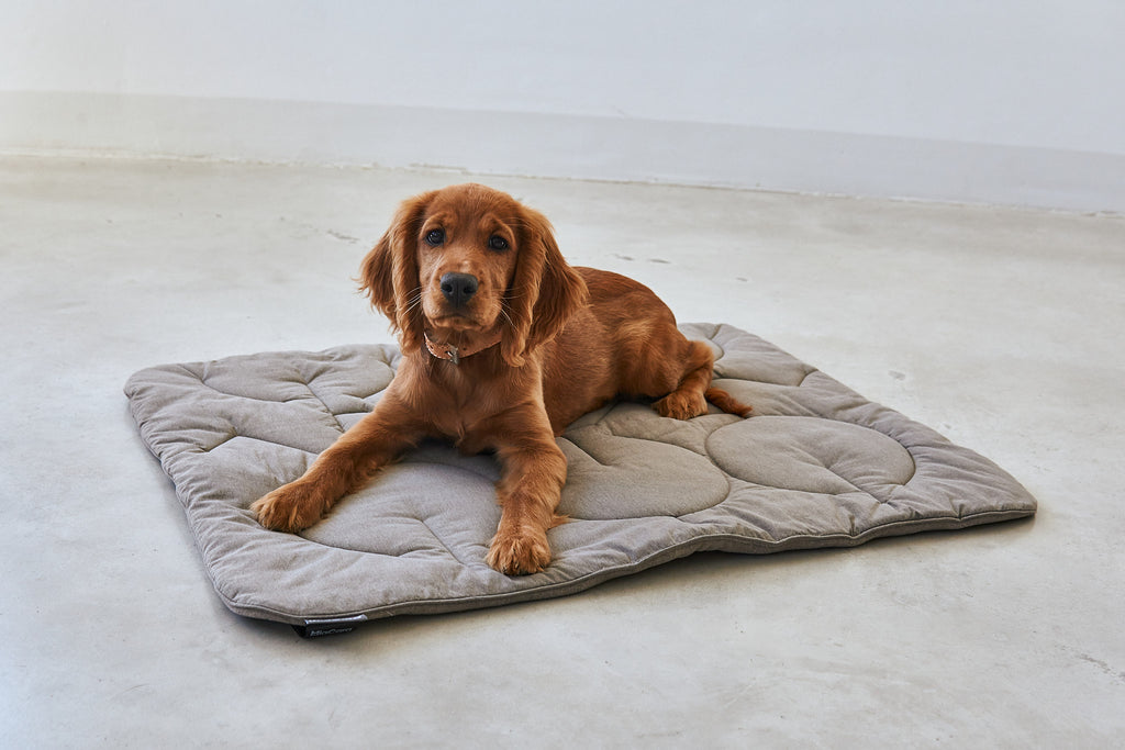 MiaCara Linea Steppdecke