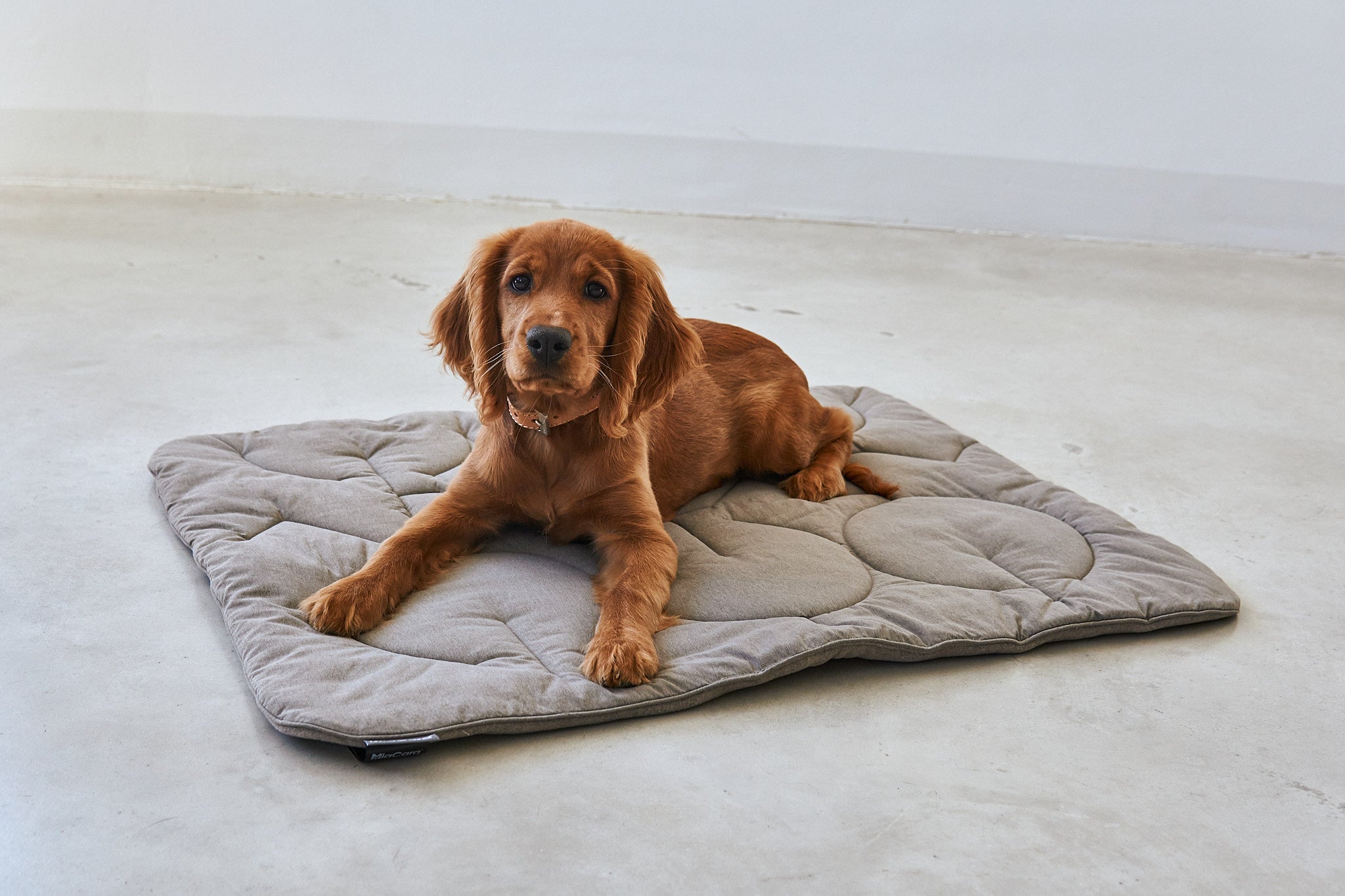 MiaCara Linea Steppdecke