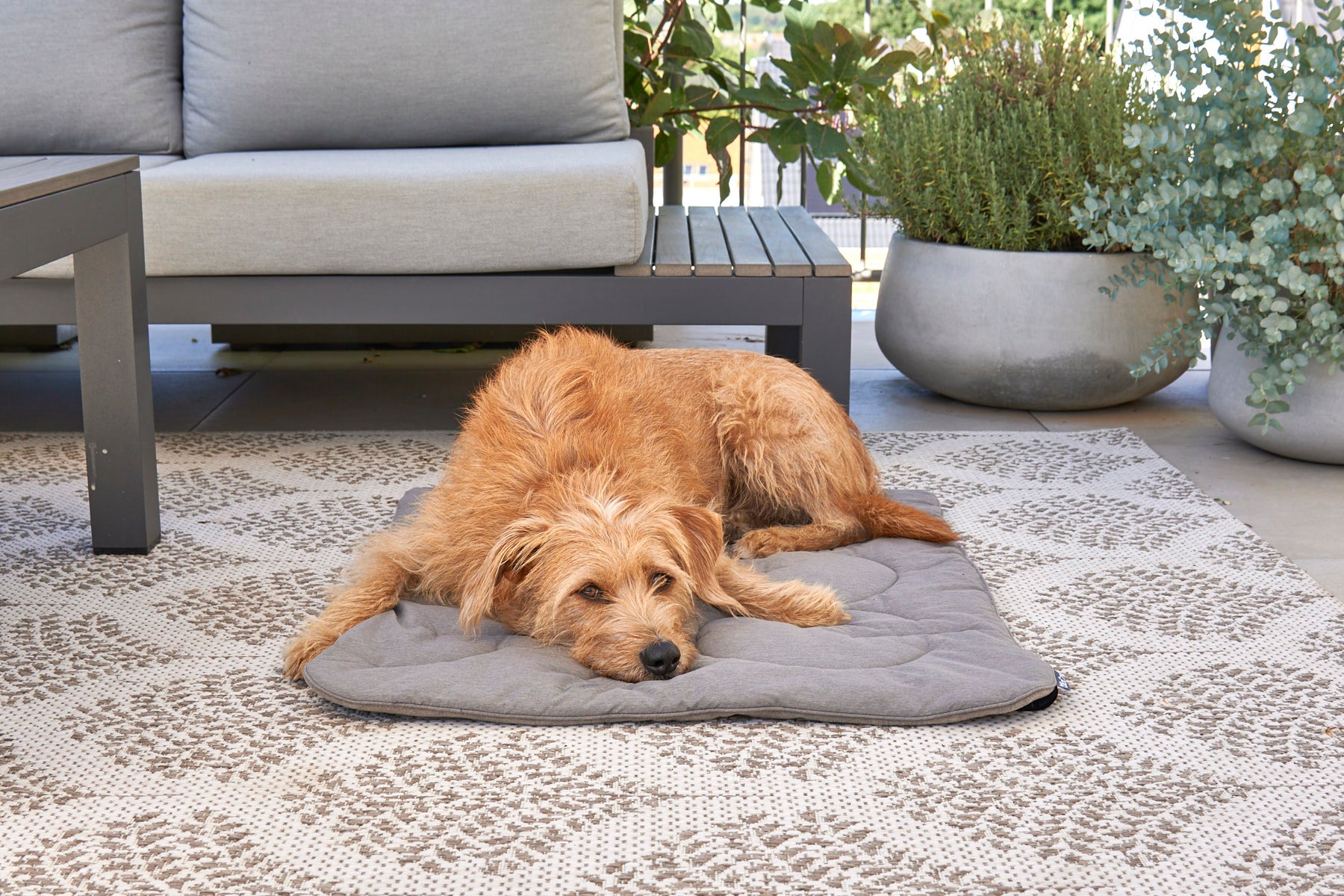 MiaCara Linea Steppdecke