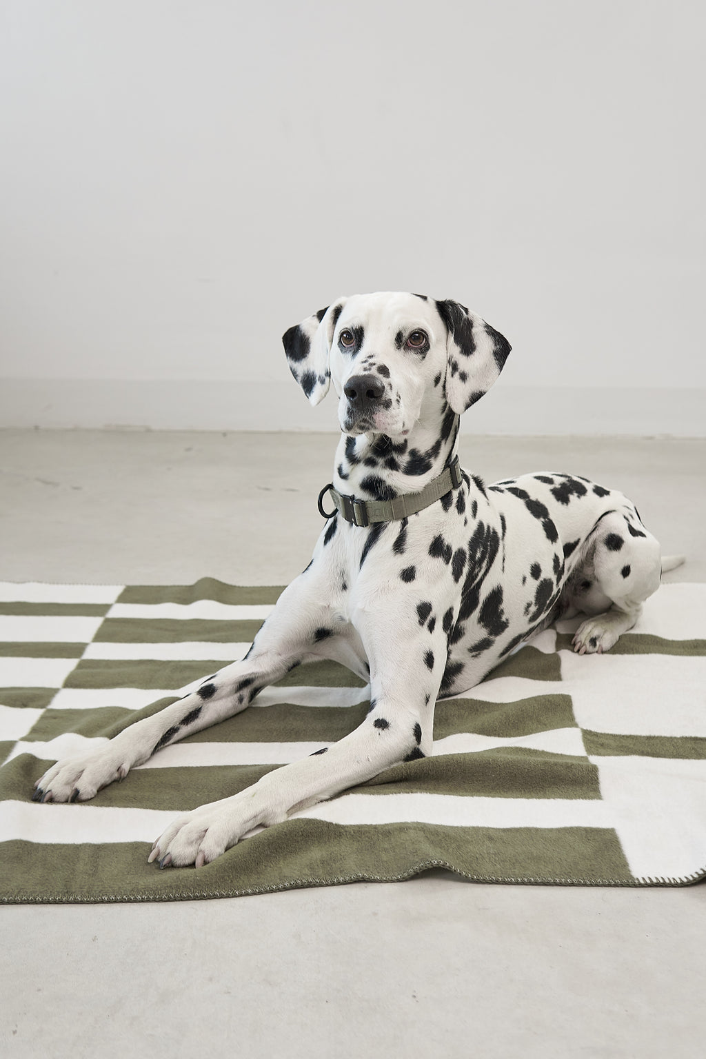 MiaCara Blocco Dog Blanket