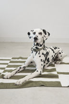 Blocco Dog Blanket