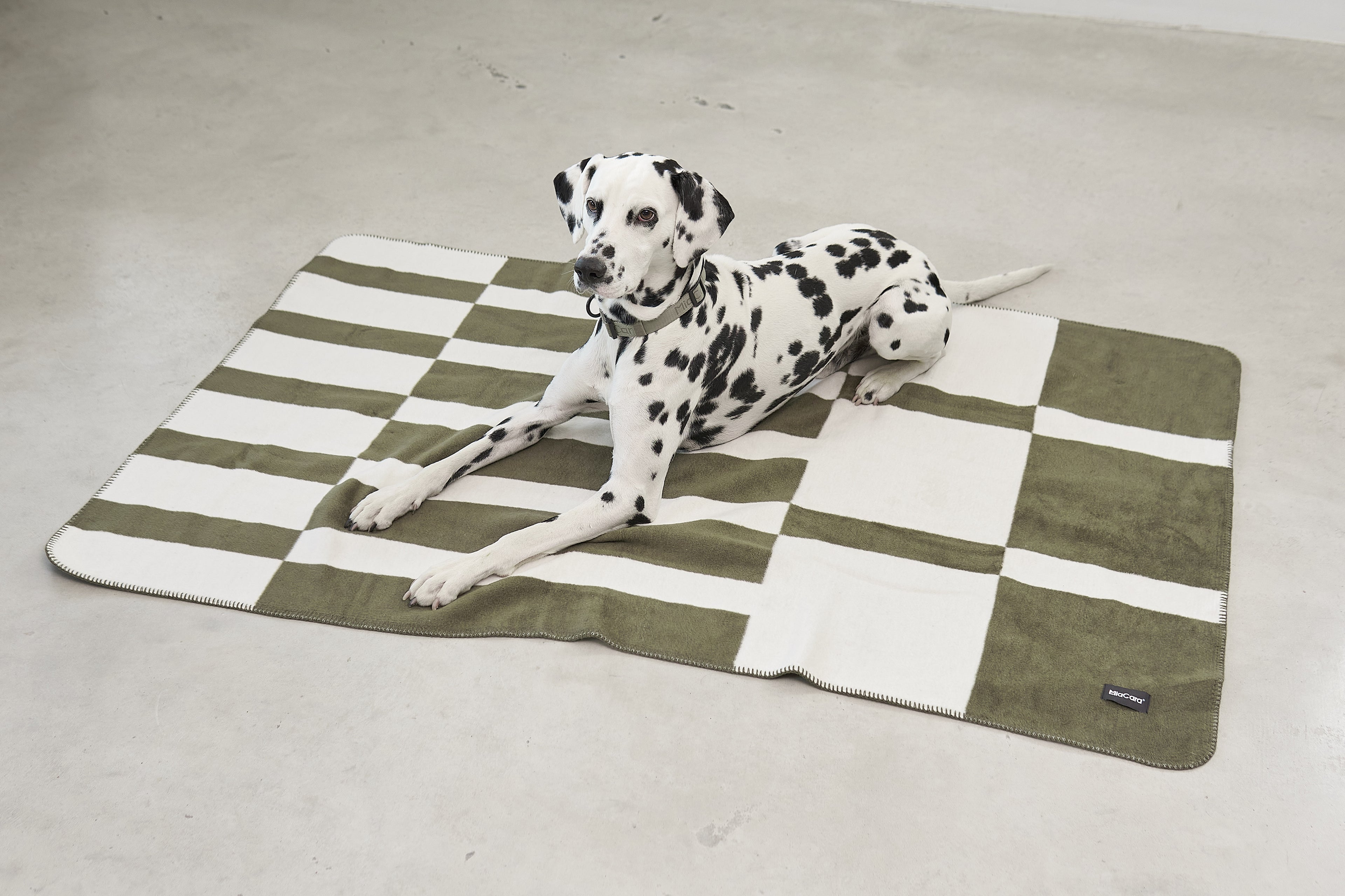 MiaCara Blocco Dog Blanket