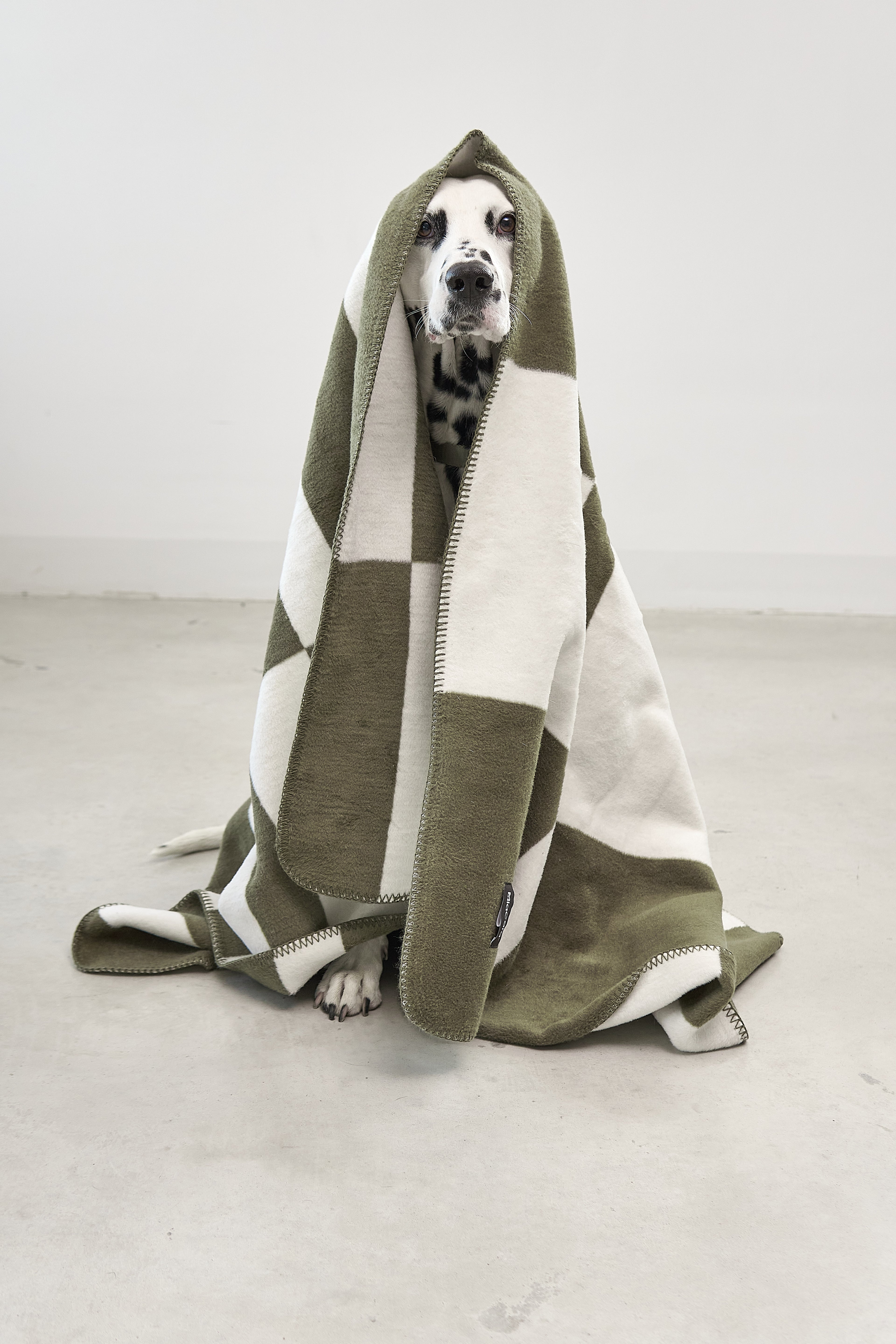 MiaCara Blocco Dog Blanket