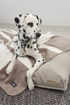 Blocco Dog Blanket