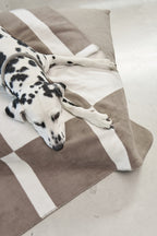 Blocco Dog Blanket