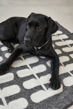 Flora Hundedecke