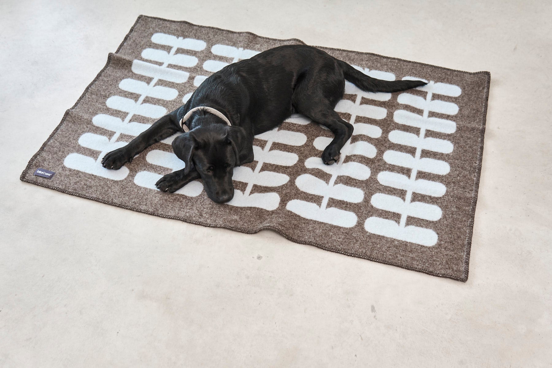 MiaCara Flora Dog Blanket