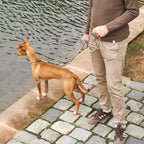 Monza lead and slip collar set