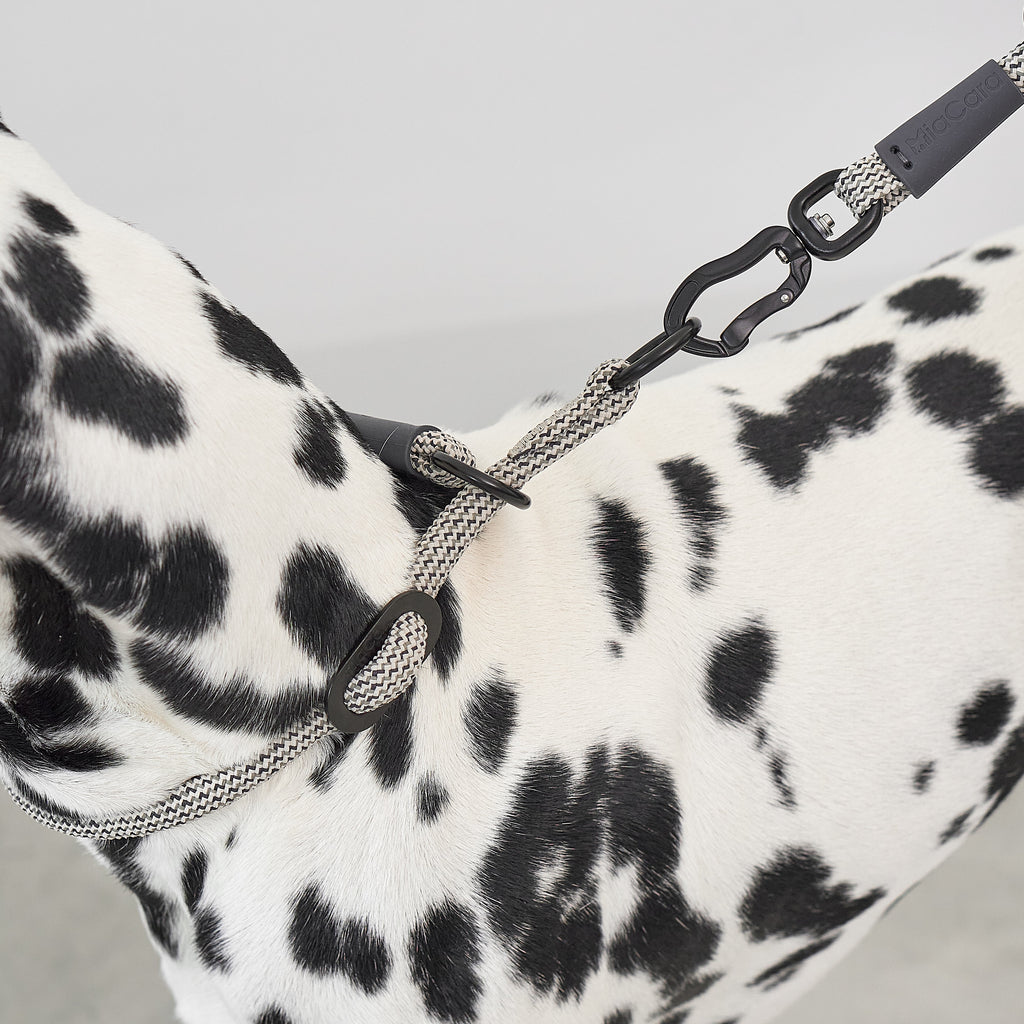 MiaCara Monza Slip Collar