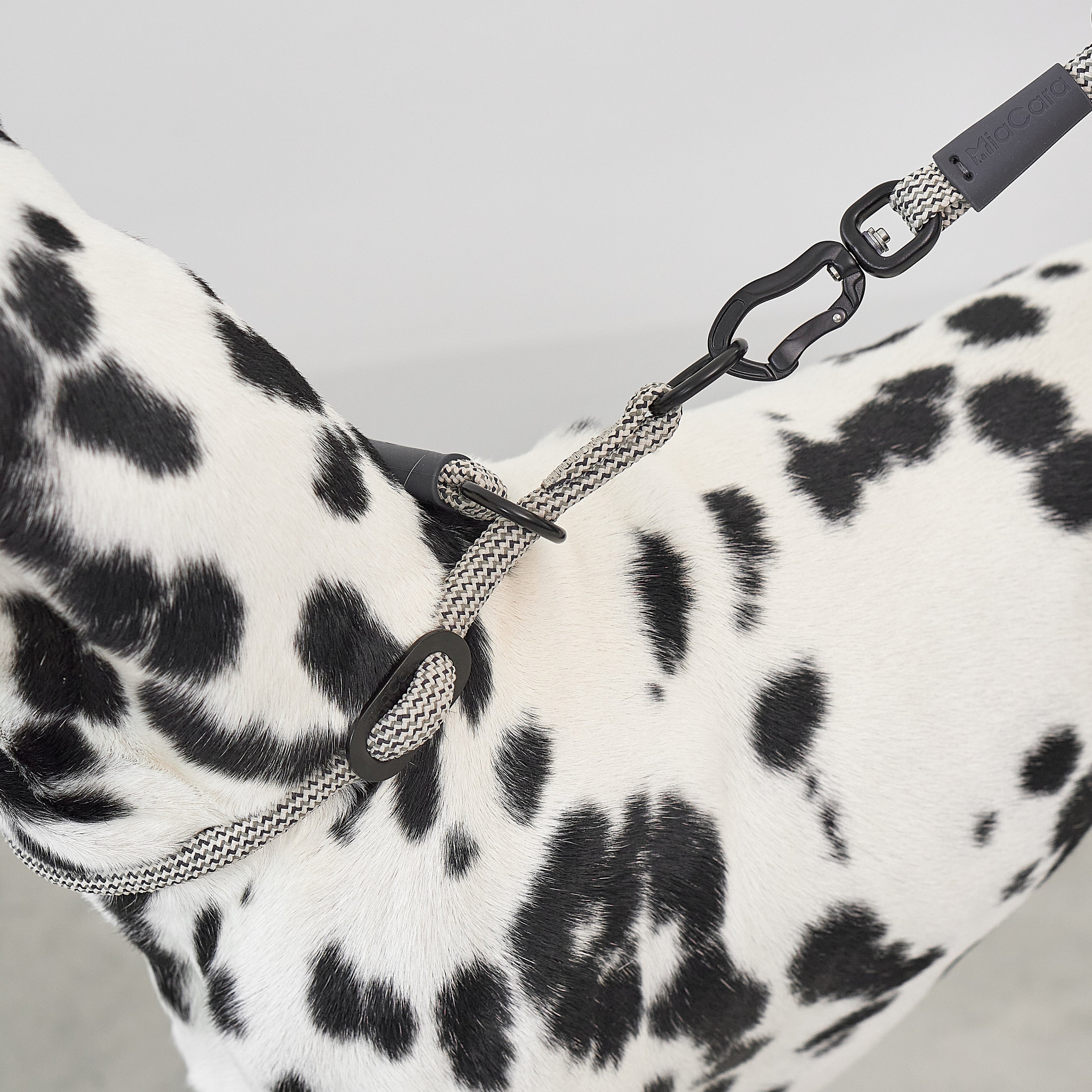 MiaCara Monza Slip Collar