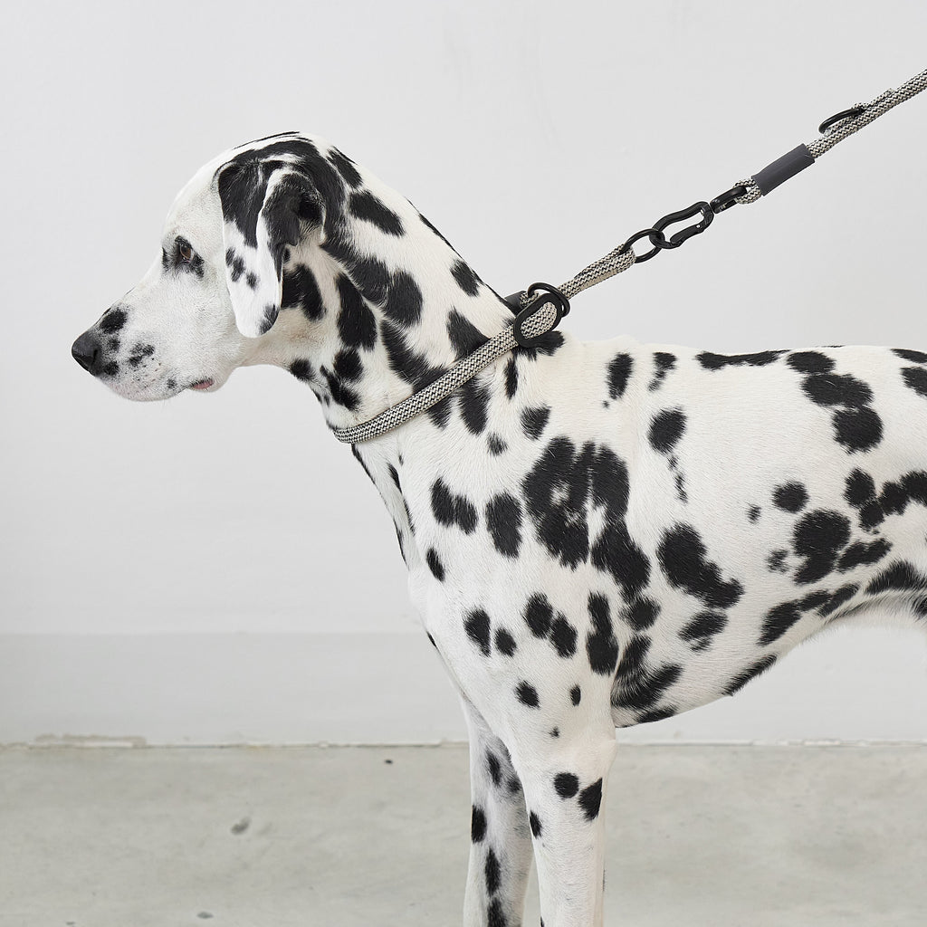 MiaCara Monza Slip Collar