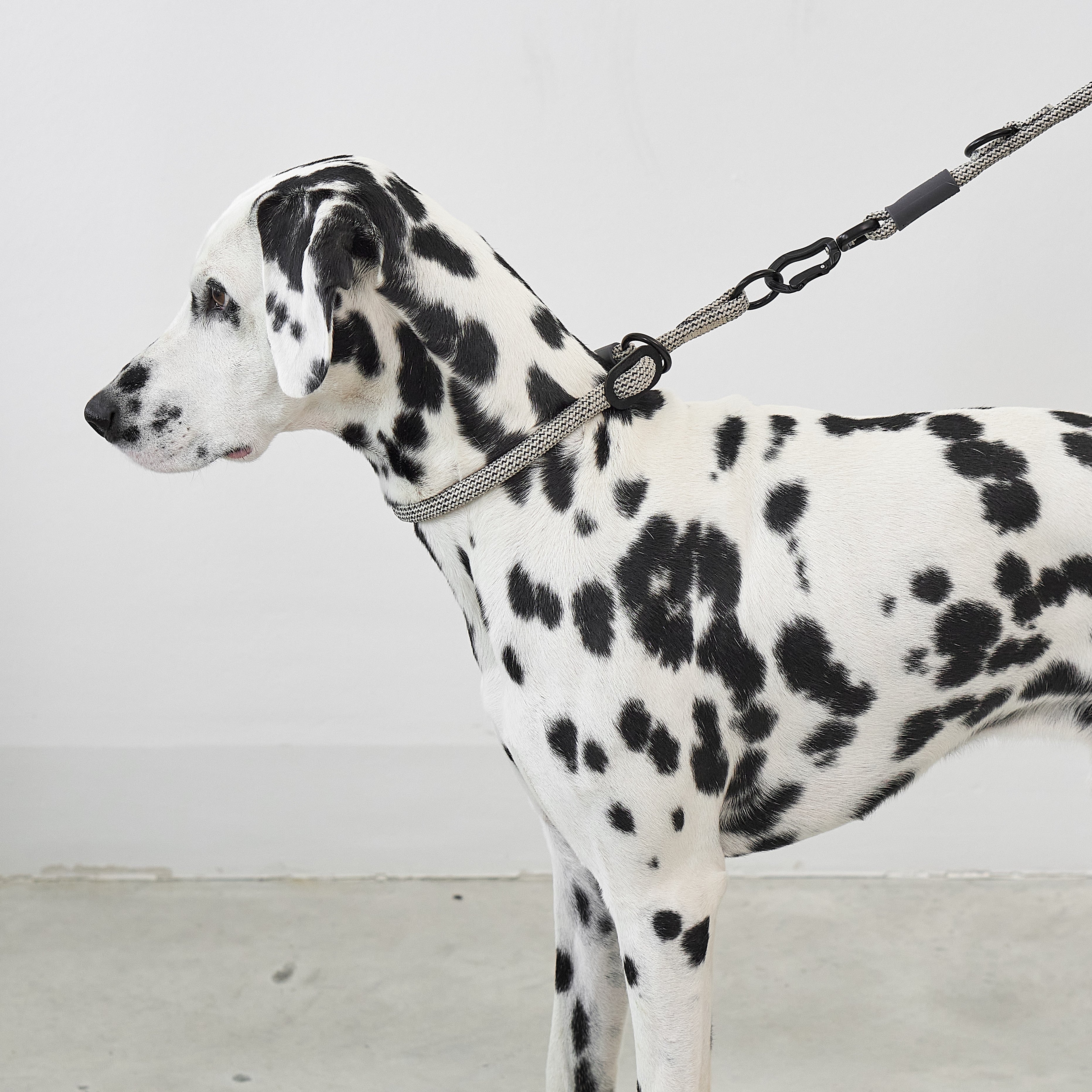 MiaCara Monza Slip Collar