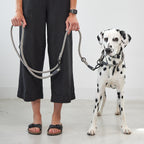 Monza lead and slip collar set