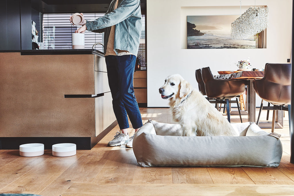 MiaCara Coppa Leckerlidose