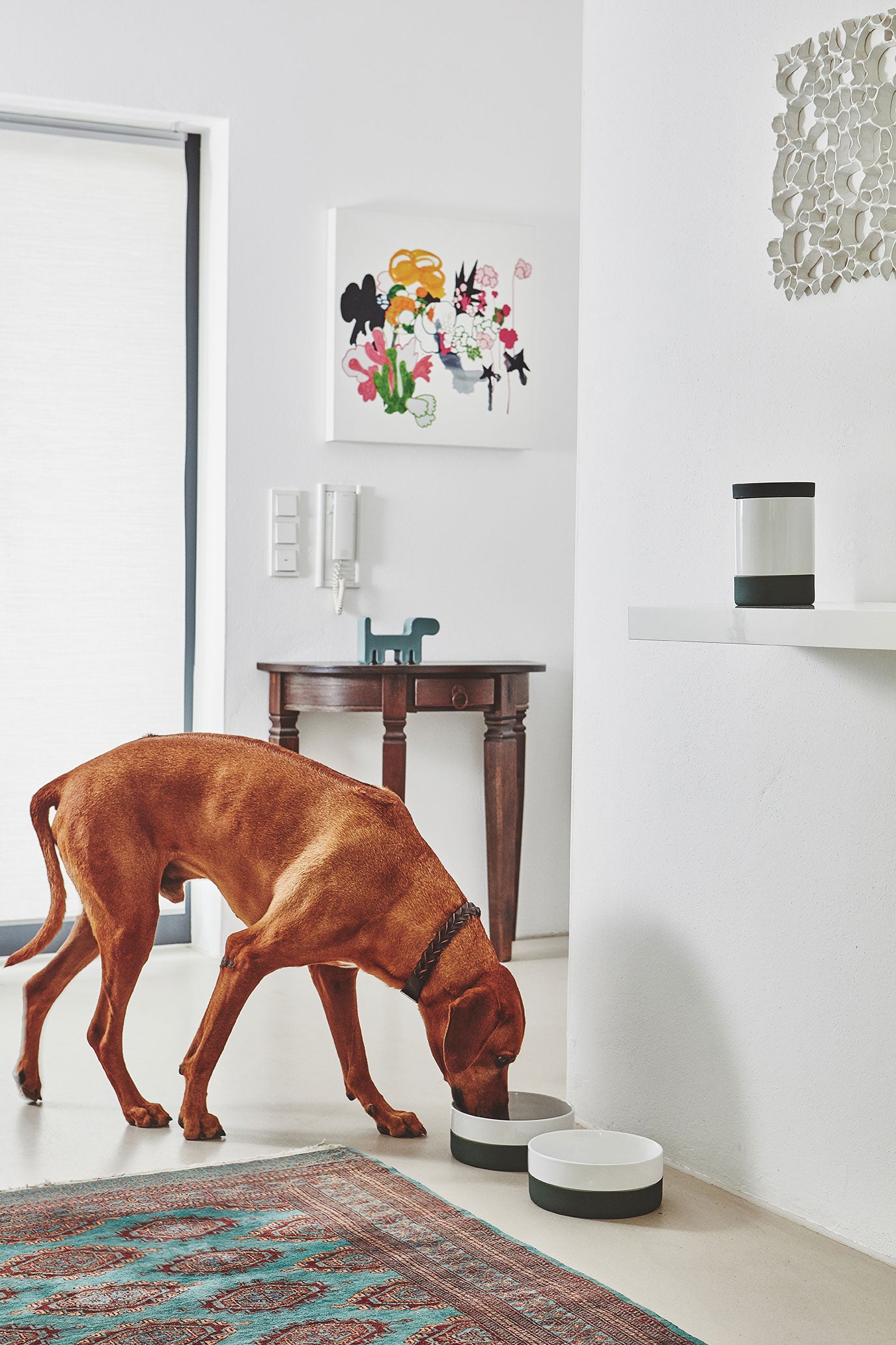 MiaCara Coppa Leckerlidose