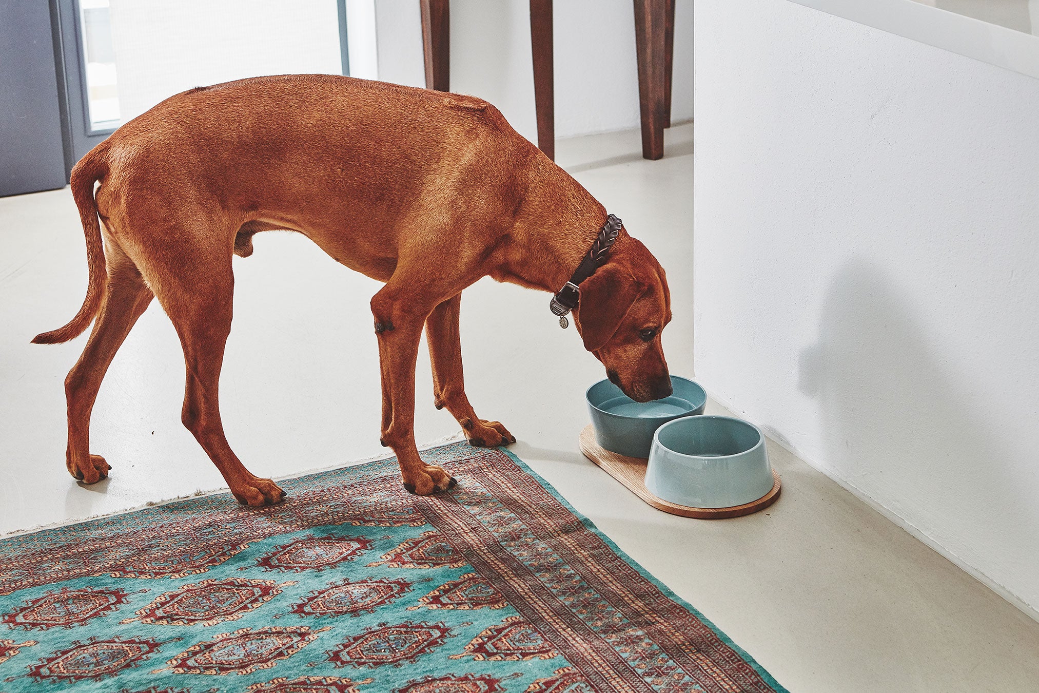 MiaCara Doppio Napf-Set