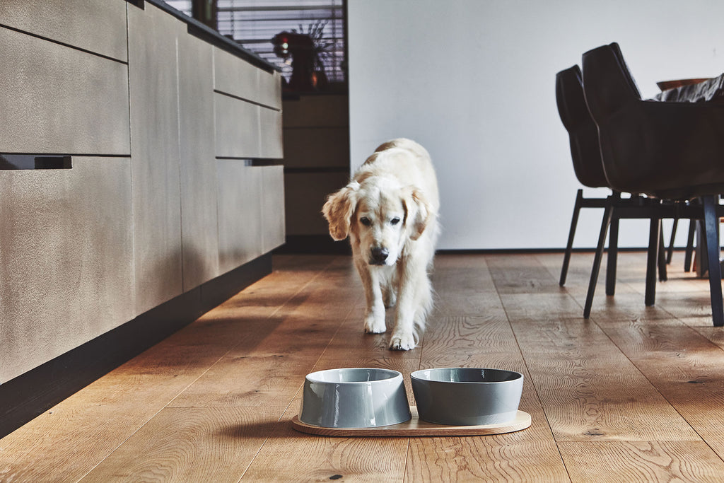 MiaCara Doppio Napf-Set