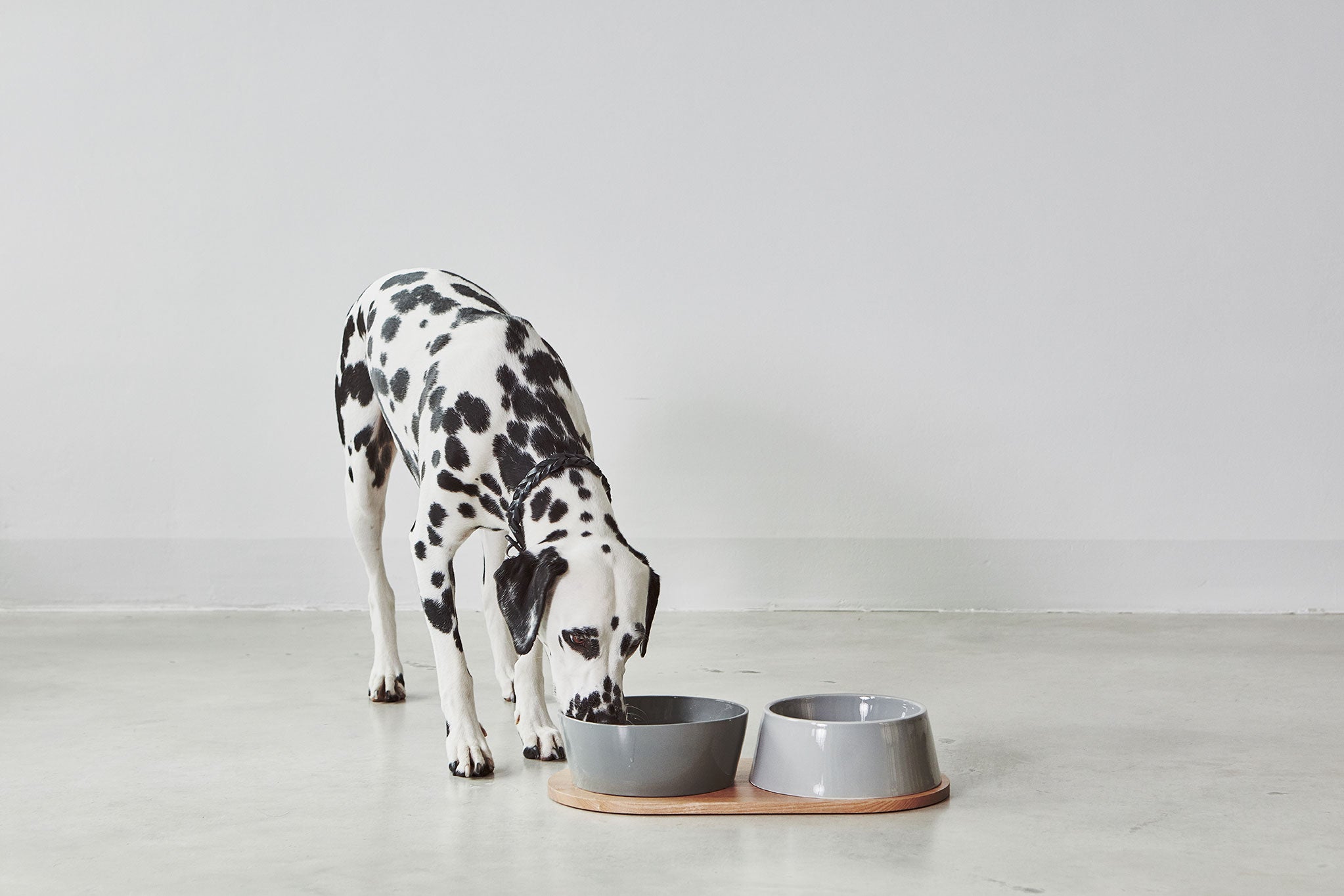 MiaCara Doppio Napf-Set