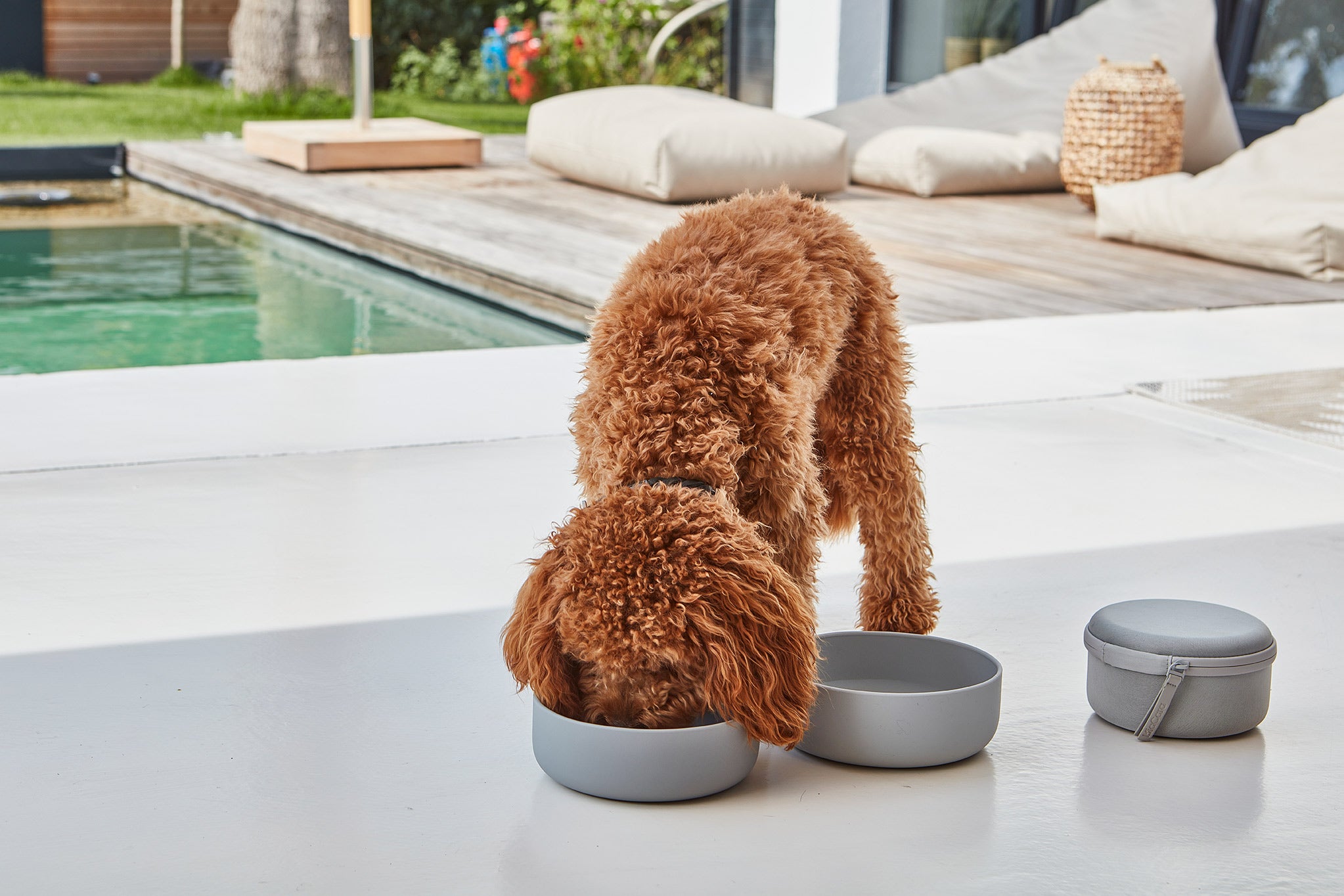 MiaCara Bento Reisenapf und Futterbehälter