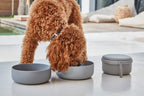 Bento Travel Bowl and Food Container