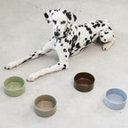 Scodella Dog Bowl