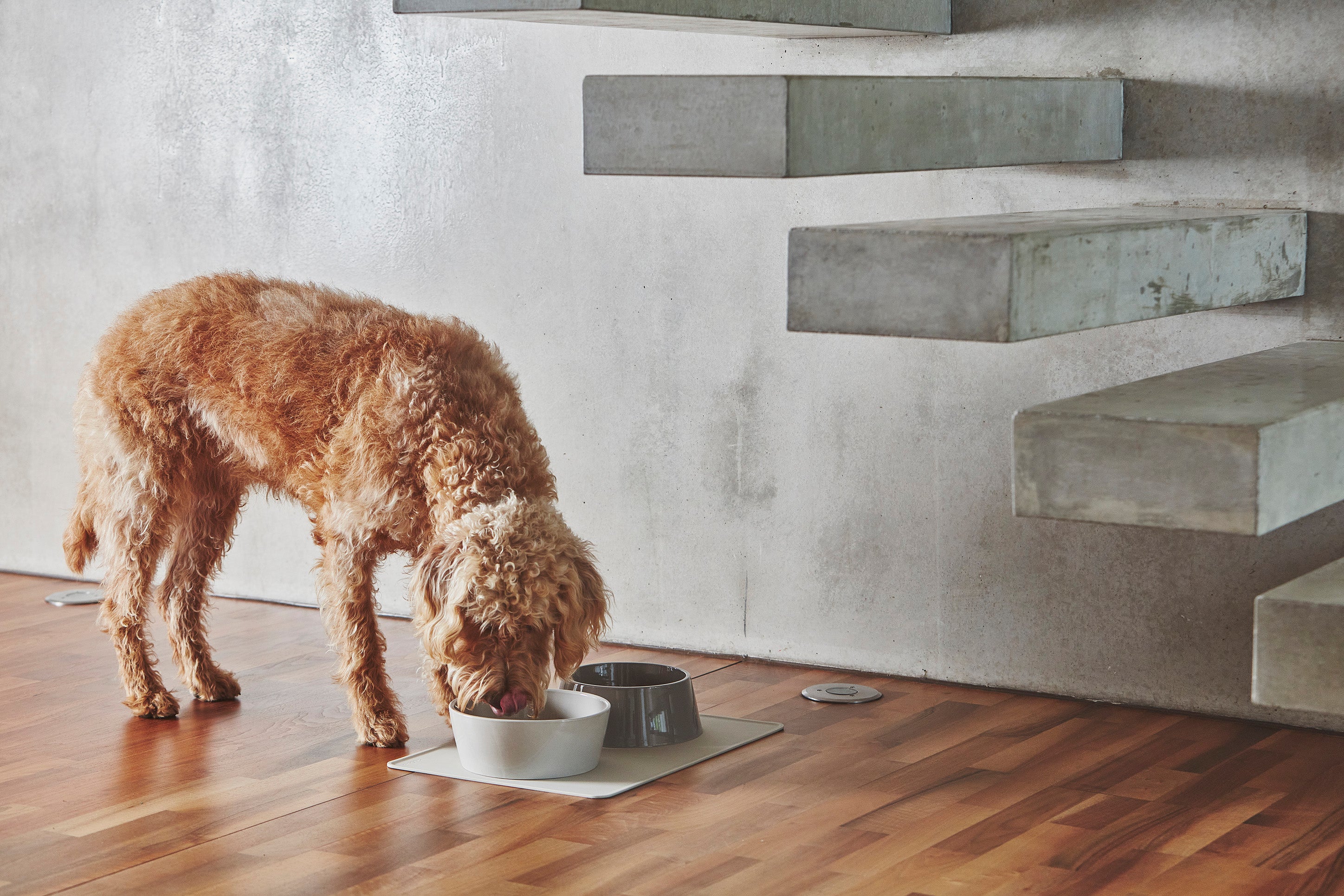 MiaCara Doppio Napf-Set