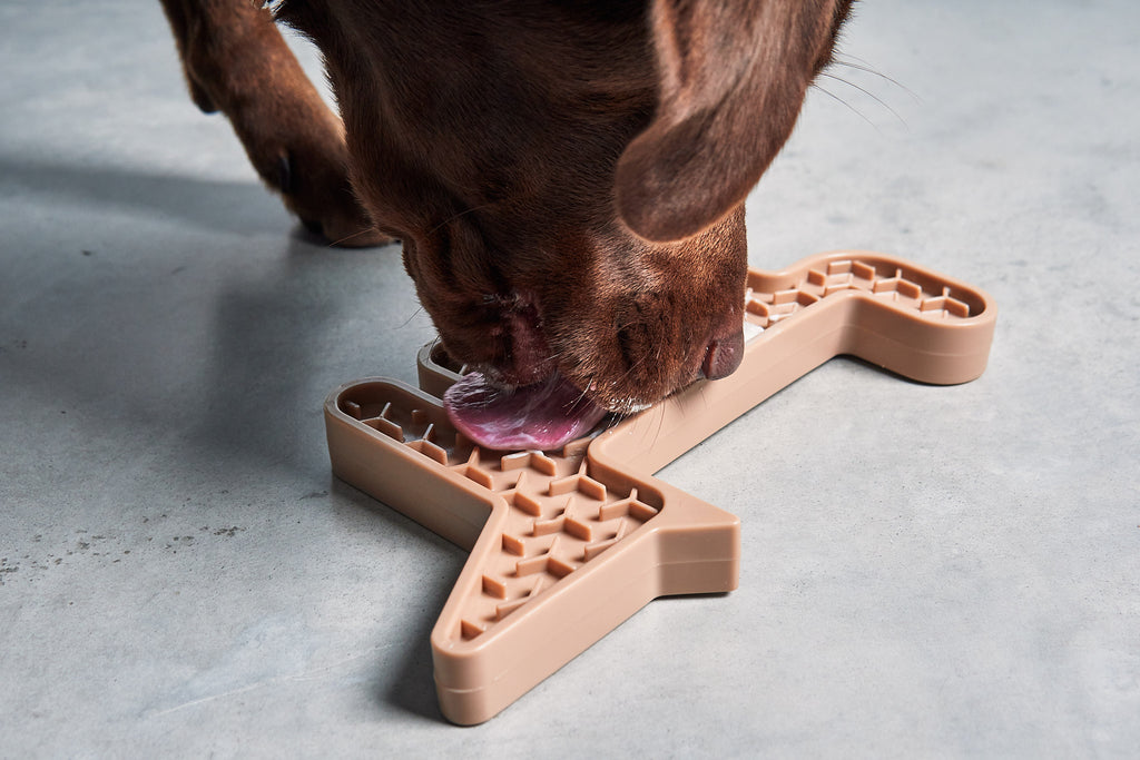 MiaCara Volpe Spielzeug