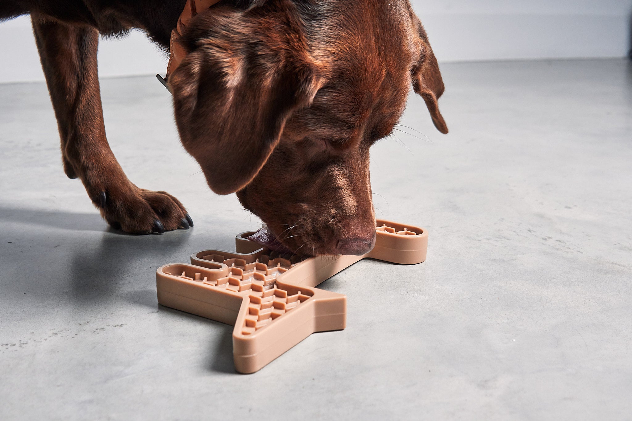 MiaCara Volpe Spielzeug