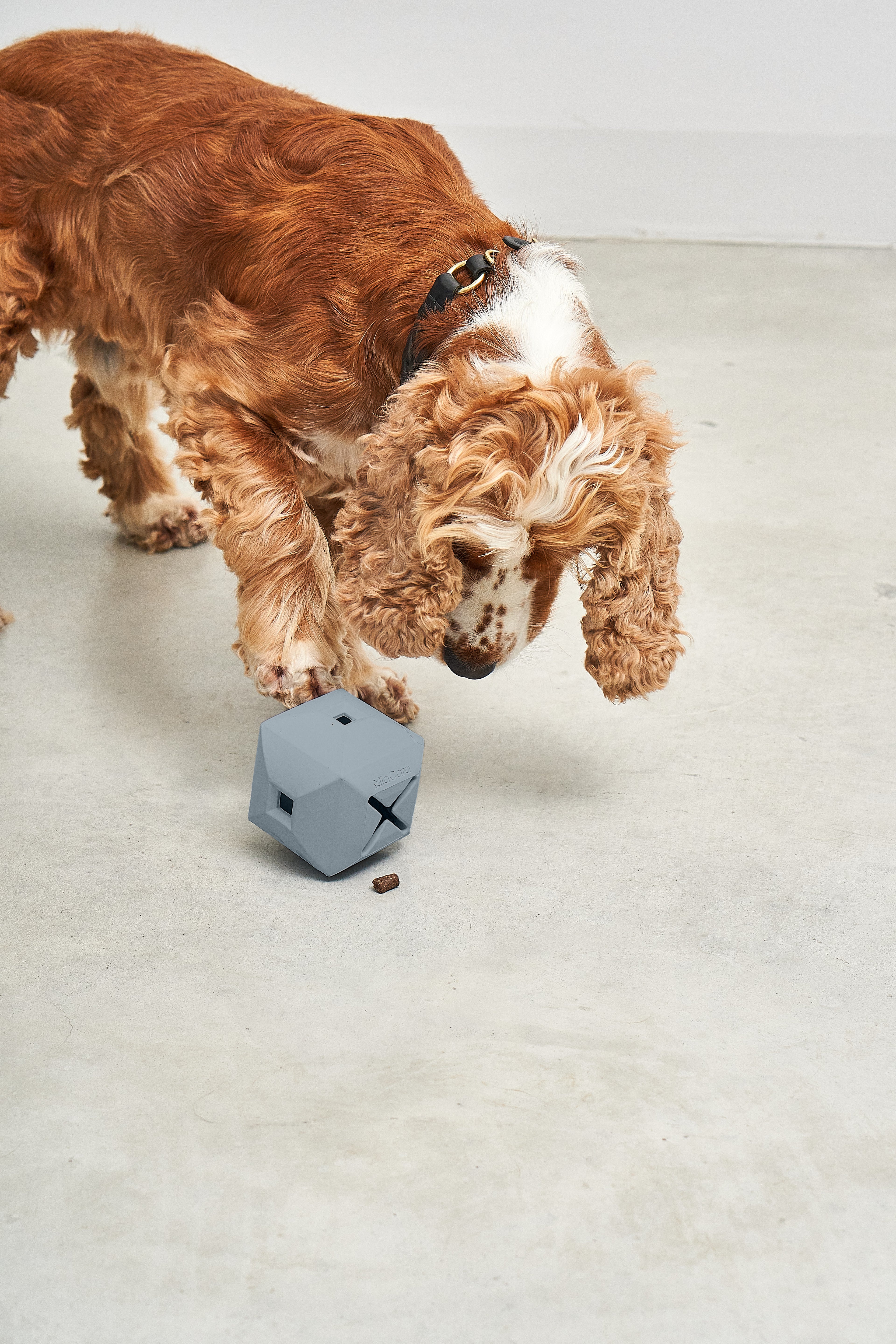 MiaCara Dado Spielzeug