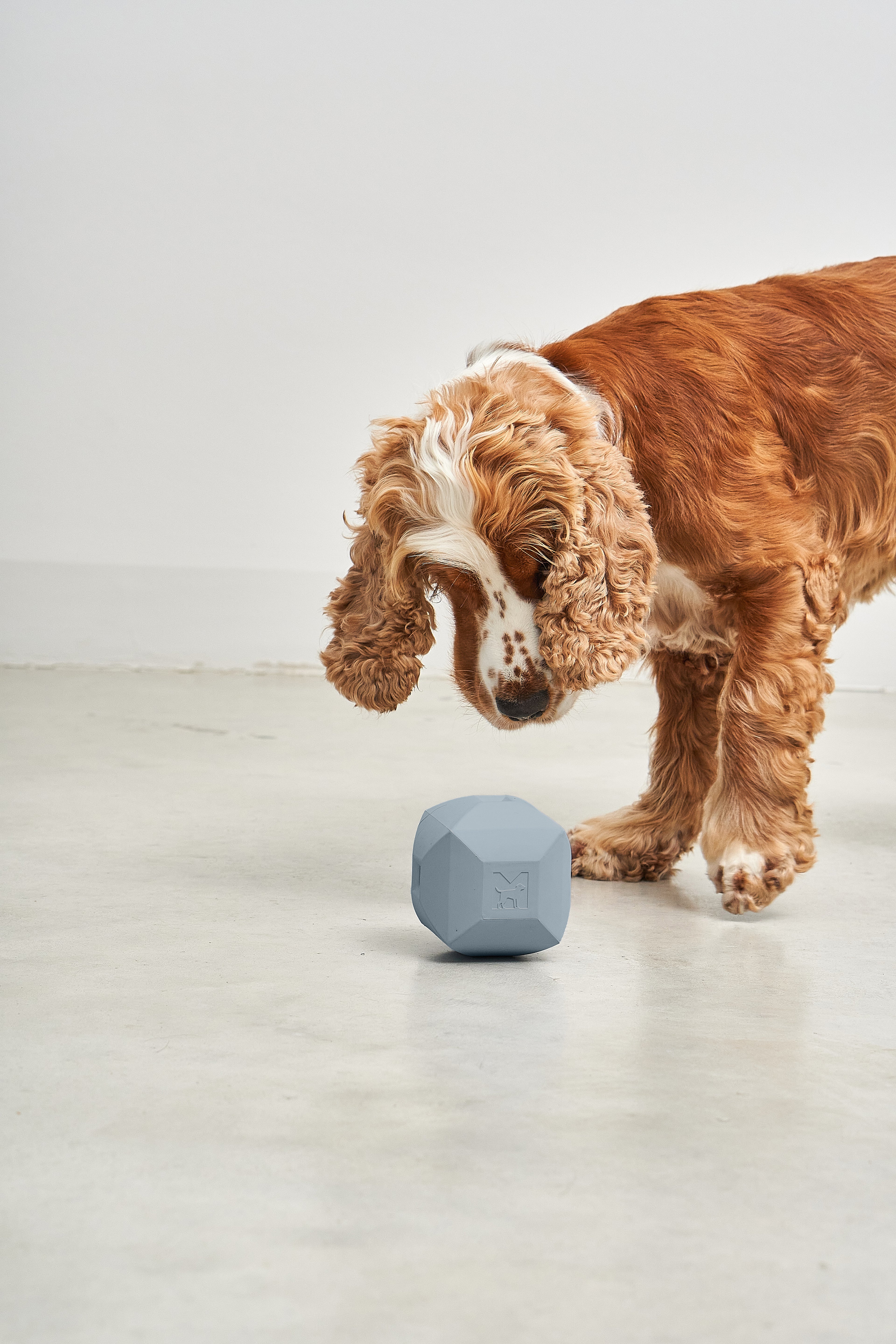 MiaCara Dado Spielzeug