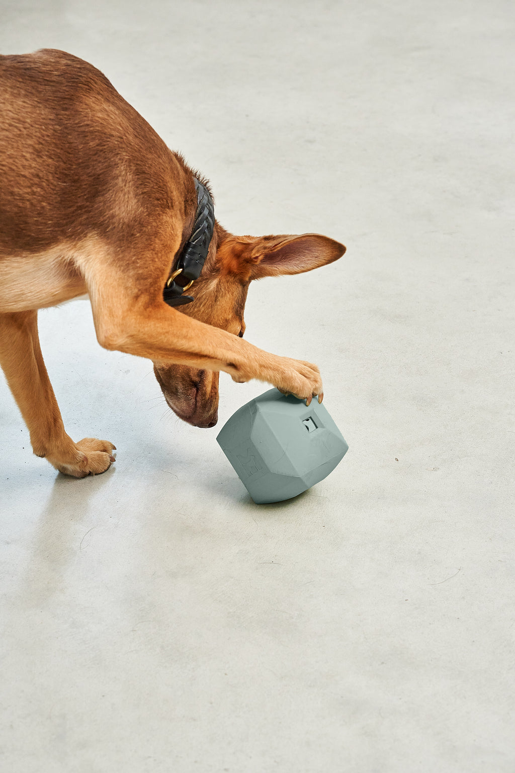 MiaCara Dado Spielzeug