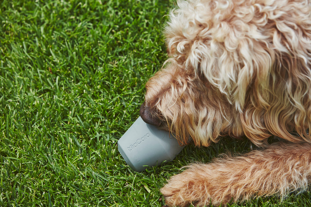 MiaCara Cono Spielzeug