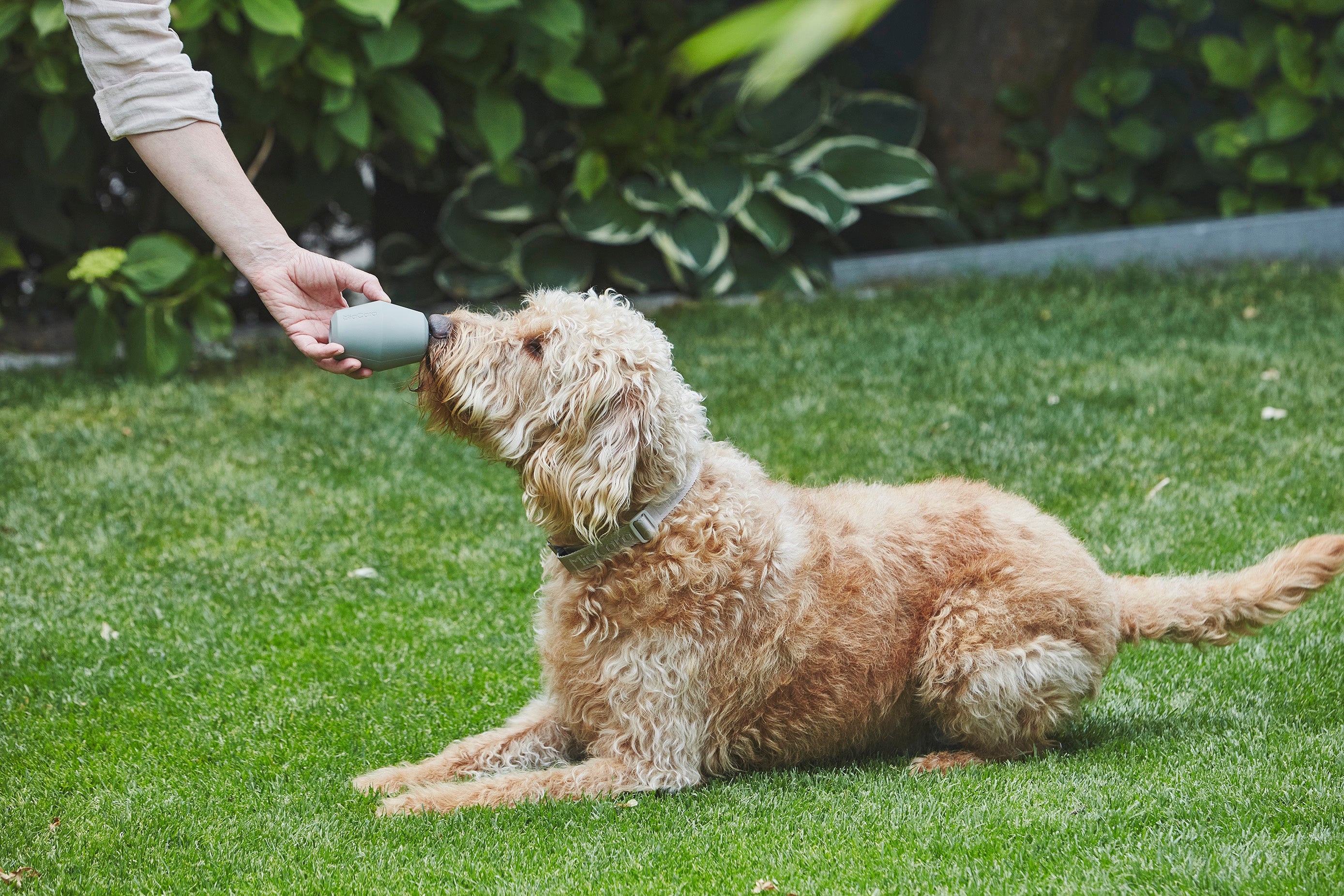 MiaCara Cono Spielzeug