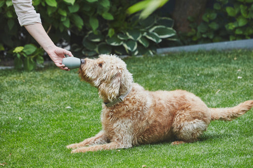 MiaCara Cono Spielzeug