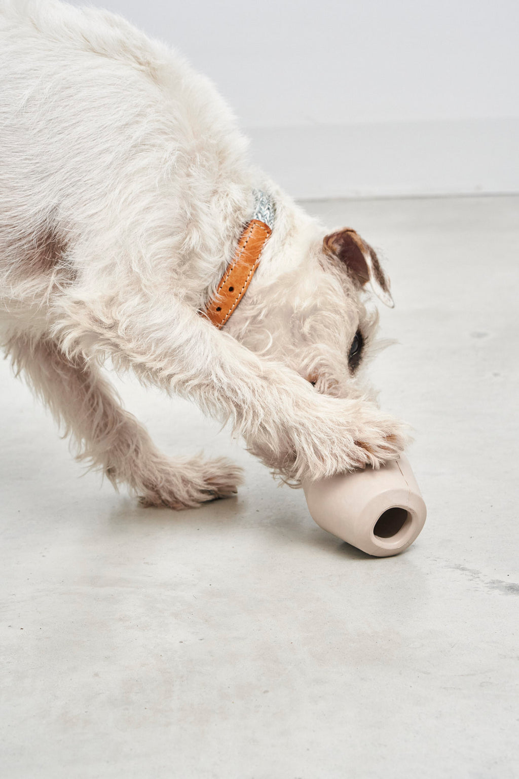 MiaCara Cono Spielzeug