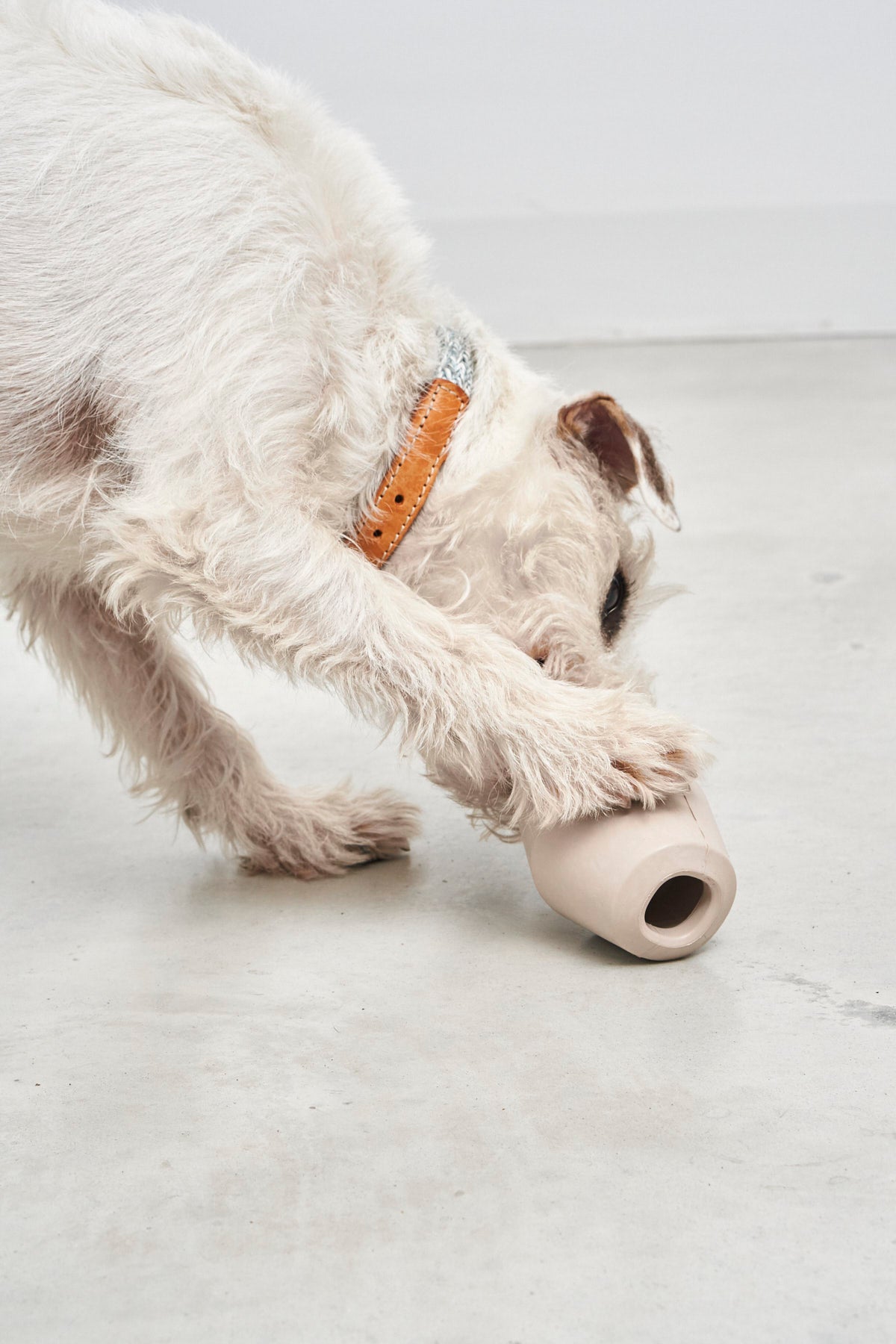 MiaCara Cono Spielzeug