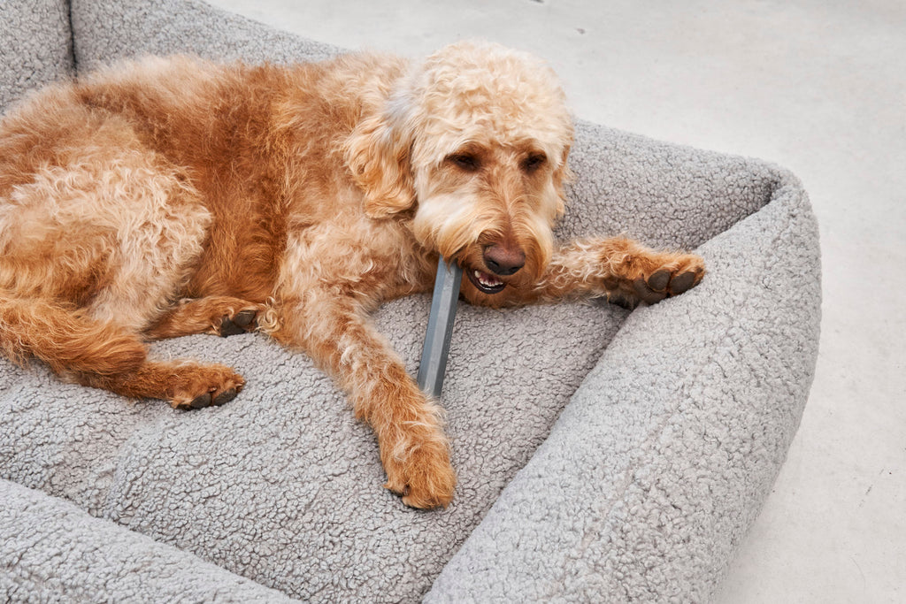 MiaCara Ramo Spielzeug