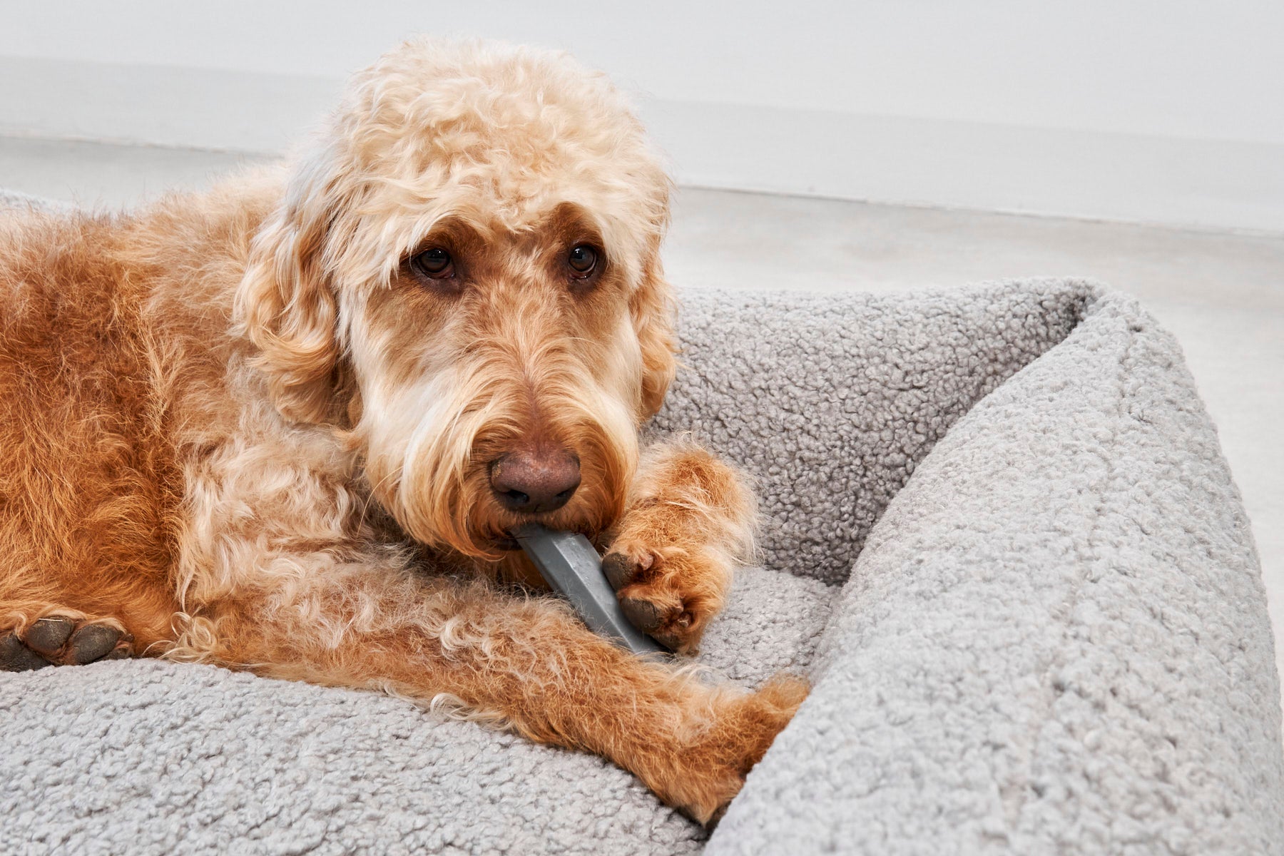 MiaCara Ramo Spielzeug